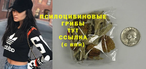 хмурый Богородицк