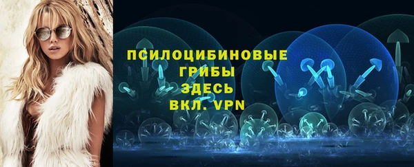 хмурый Богородицк