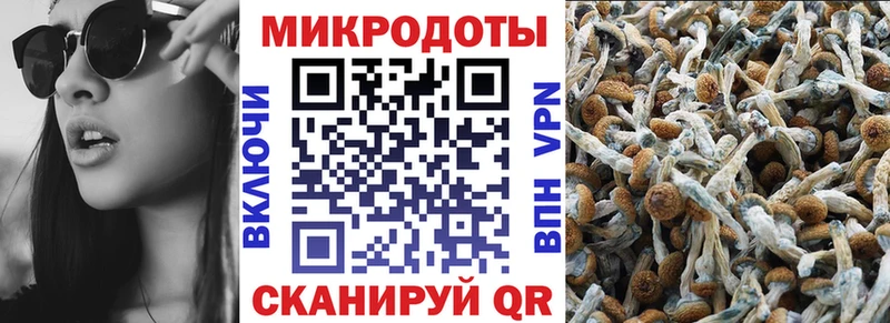 Галлюциногенные грибы GOLDEN TEACHER  Новотроицк 